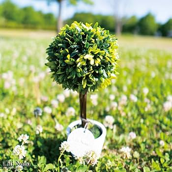 光触媒　人工観葉植物　抗菌消臭　ウォールグリーン　Ｐ胡蝶蘭３Ｆ大輪8250 Amazon｜公式｜造花ドットコム プレミアム 光触媒 消臭 フェイク